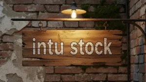 Intu Stock